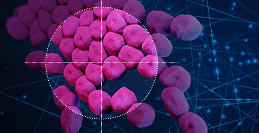 Image of acinetobacter baumannii